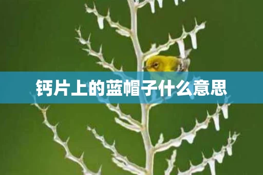 钙片上的蓝帽子什么意思