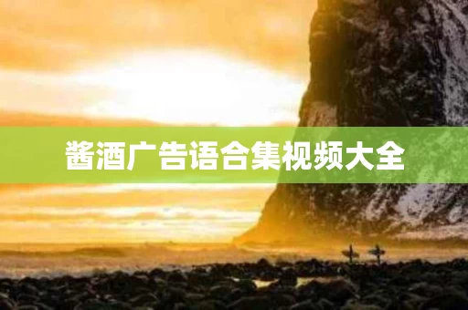 酱酒广告语合集视频大全