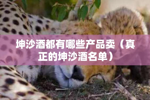 坤沙酒都有哪些产品卖（真正的坤沙酒名单）