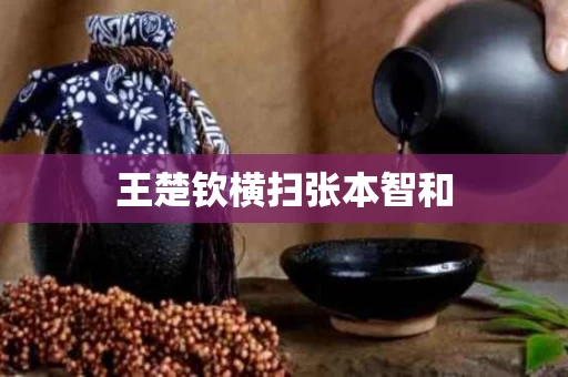 王楚钦横扫张本智和