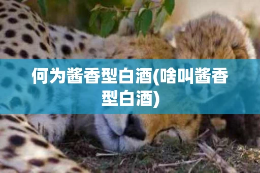 何为酱香型白酒(啥叫酱香型白酒)