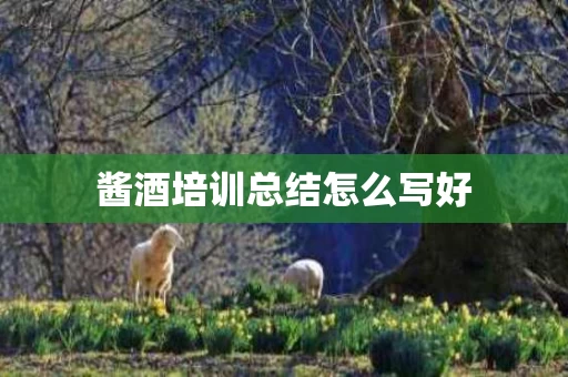 酱酒培训总结怎么写好