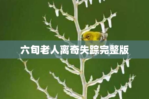 六旬老人离奇失踪完整版