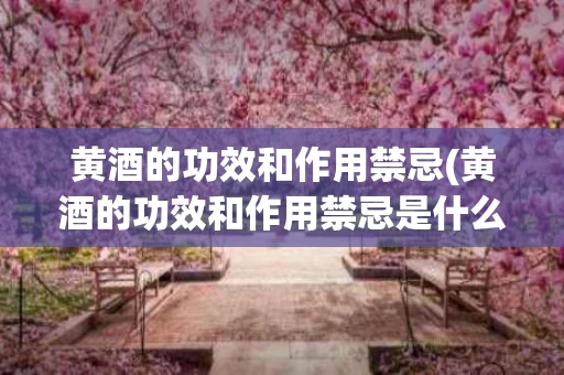 黄酒的功效和作用禁忌(黄酒的功效和作用禁忌是什么)