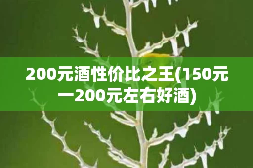 200元酒性价比之王(150元一200元左右好酒)