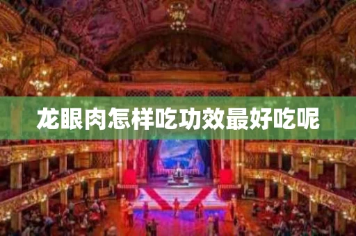 龙眼肉怎样吃功效最好吃呢