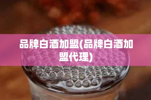 品牌白酒加盟(品牌白酒加盟代理)