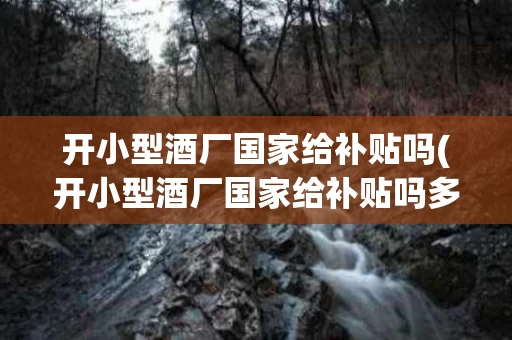 开小型酒厂国家给补贴吗(开小型酒厂国家给补贴吗多少钱)