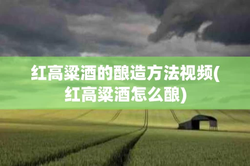 红高粱酒的酿造方法视频(红高粱酒怎么酿)