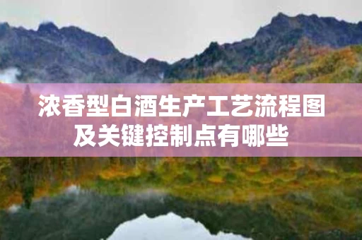 浓香型白酒生产工艺流程图及关键控制点有哪些
