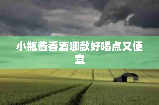 小瓶酱香酒哪款好喝点又便宜