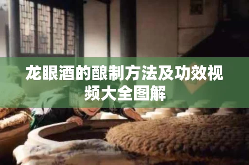 龙眼酒的酿制方法及功效视频大全图解