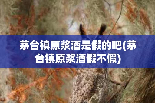 茅台镇原浆酒是假的吧(茅台镇原浆酒假不假)