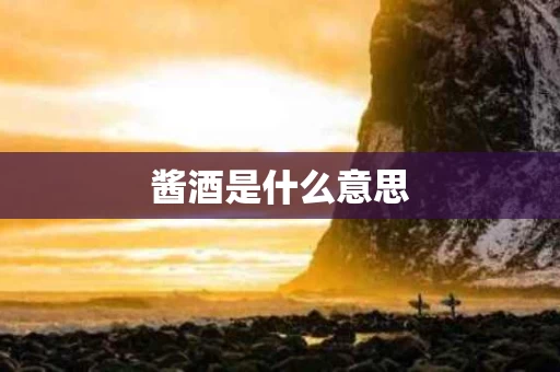 酱酒是什么意思