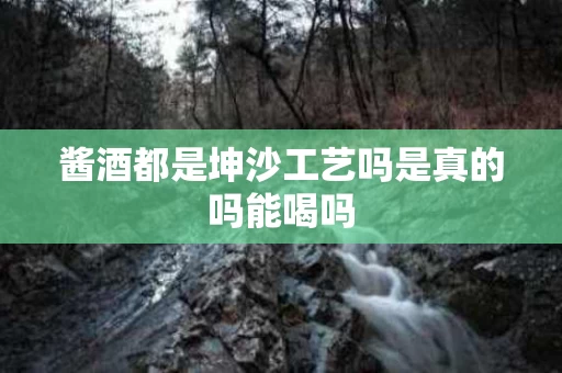 酱酒都是坤沙工艺吗是真的吗能喝吗
