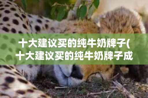 十大建议买的纯牛奶牌子(十大建议买的纯牛奶牌子成人)