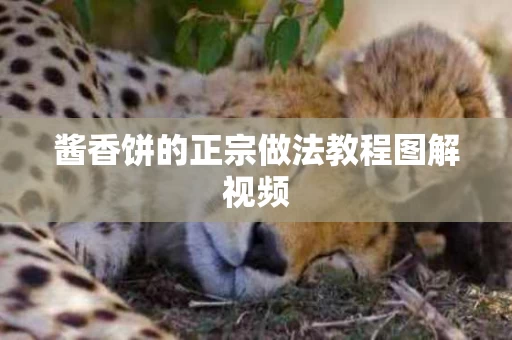酱香饼的正宗做法教程图解视频