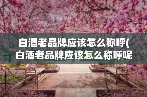 白酒老品牌应该怎么称呼(白酒老品牌应该怎么称呼呢)