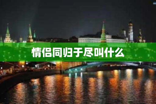 情侣同归于尽叫什么
