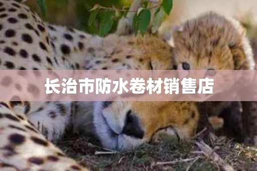长治市防水卷材销售店