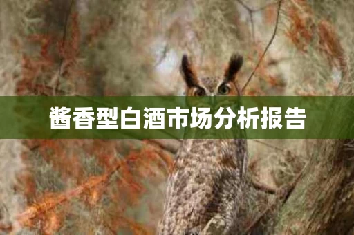 酱香型白酒市场分析报告