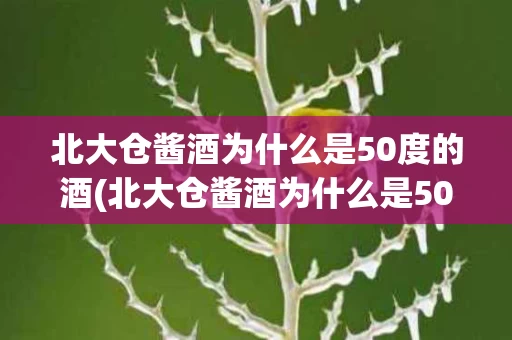 北大仓酱酒为什么是50度的酒(北大仓酱酒为什么是50度的酒呢)