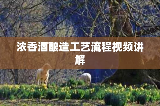 浓香酒酿造工艺流程视频讲解