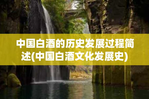 中国白酒的历史发展过程简述(中国白酒文化发展史)