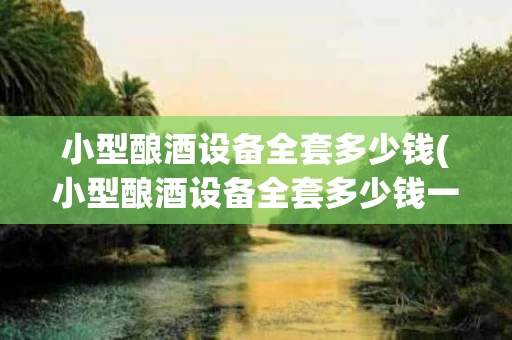 小型酿酒设备全套多少钱(小型酿酒设备全套多少钱一台)