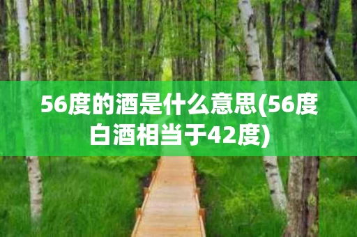 56度的酒是什么意思(56度白酒相当于42度)
