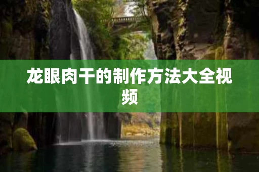 龙眼肉干的制作方法大全视频