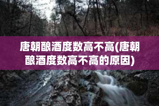 唐朝酿酒度数高不高(唐朝酿酒度数高不高的原因)