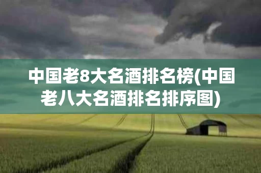 中国老8大名酒排名榜(中国老八大名酒排名排序图)