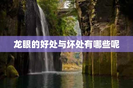 龙眼的好处与坏处有哪些呢