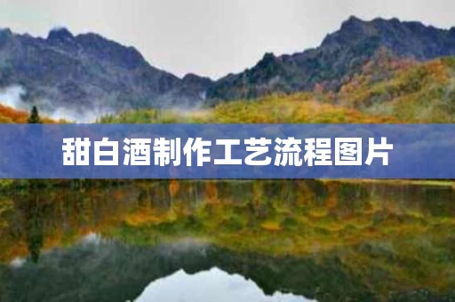 甜白酒制作工艺流程图片