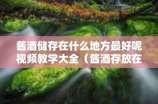 酱酒储存在什么地方最好呢视频教学大全（酱酒存放在什么地方合适）