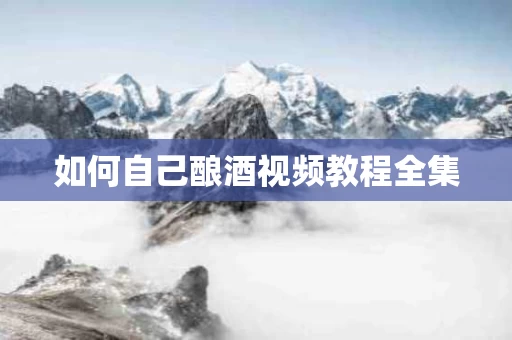 如何自己酿酒视频教程全集