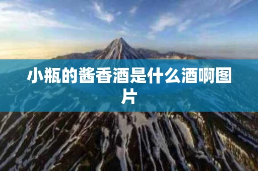 小瓶的酱香酒是什么酒啊图片
