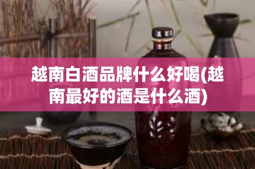 越南白酒品牌什么好喝(越南最好的酒是什么酒)