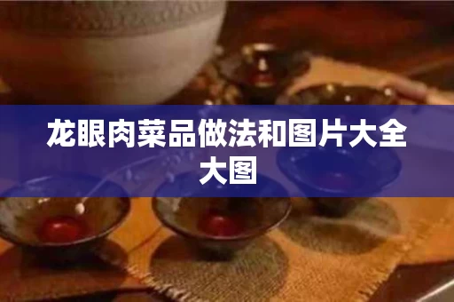 龙眼肉菜品做法和图片大全大图
