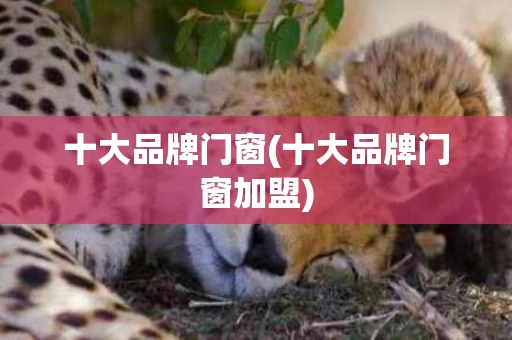 十大品牌门窗(十大品牌门窗加盟)