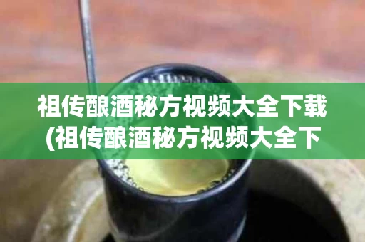 祖传酿酒秘方视频大全下载(祖传酿酒秘方视频大全下载最新)