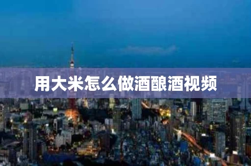 用大米怎么做酒酿酒视频