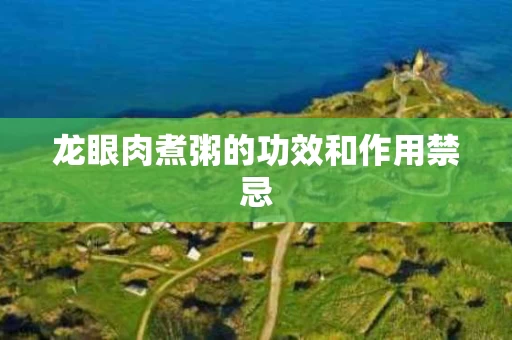 龙眼肉煮粥的功效和作用禁忌