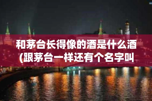 和茅台长得像的酒是什么酒(跟茅台一样还有个名字叫什么)