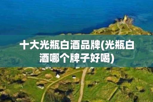 十大光瓶白酒品牌(光瓶白酒哪个牌子好喝)