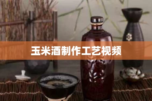 玉米酒制作工艺视频