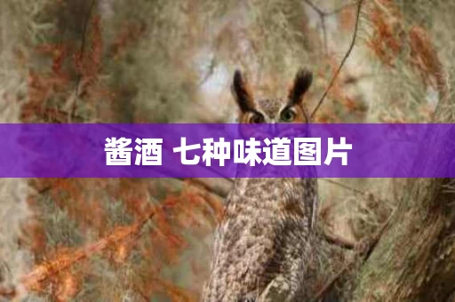 酱酒 七种味道图片