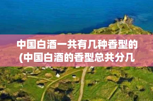 中国白酒一共有几种香型的(中国白酒的香型总共分几大类)