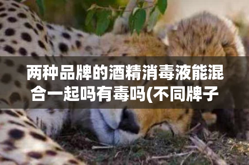 两种品牌的酒精消毒液能混合一起吗有毒吗(不同牌子的酒精消毒液可以混合吗)